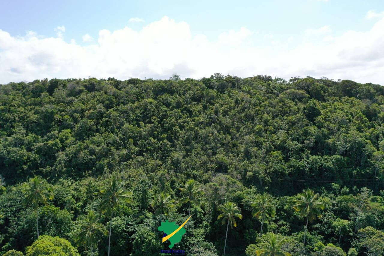 Terreno à venda, 441000m² - Foto 20