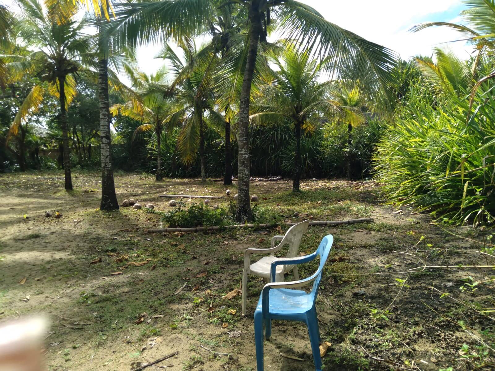 Terreno à venda, 2700m² - Foto 3