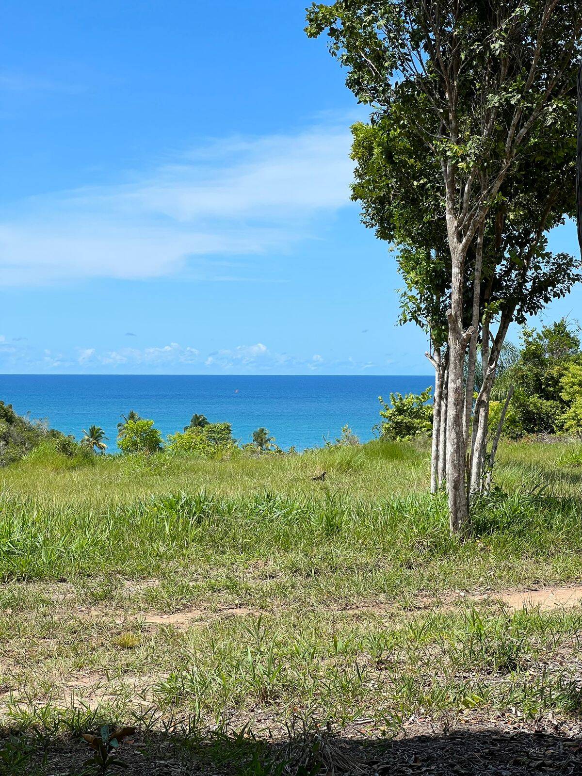 Terreno à venda, 500m² - Foto 1