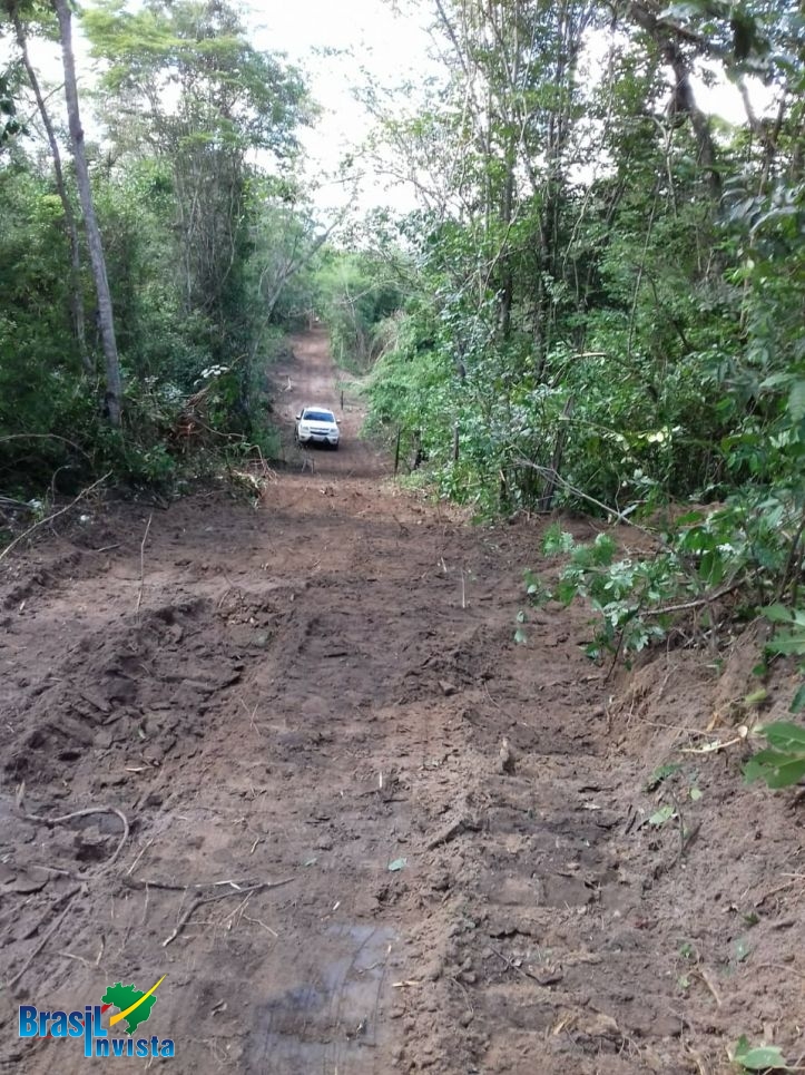 Chácara à venda com 2 quartos, 5000000m² - Foto 6