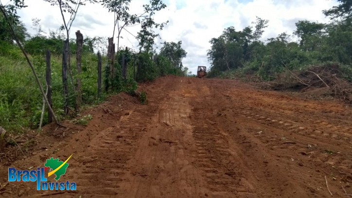 Chácara à venda com 2 quartos, 5000000m² - Foto 8