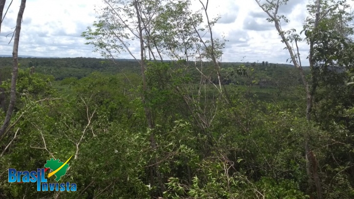 Chácara à venda com 2 quartos, 5000000m² - Foto 10