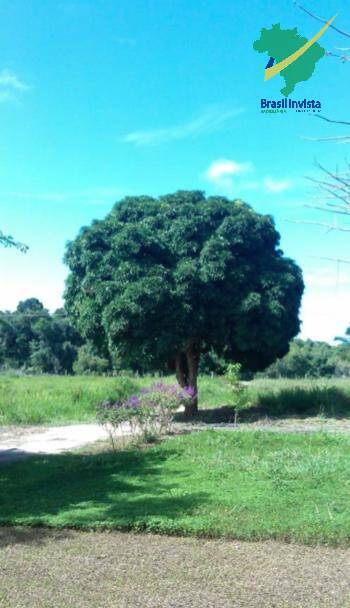 Terreno à venda, 30m² - Foto 5