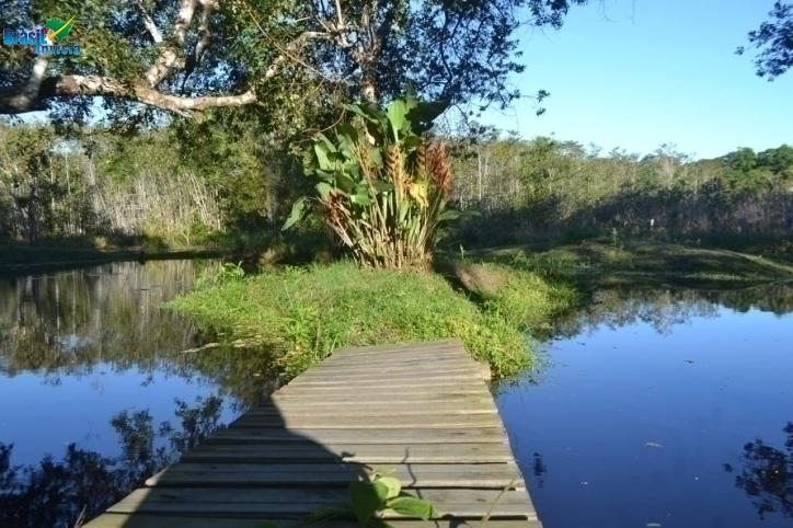 Fazenda à venda com 7 quartos, 10700m² - Foto 5