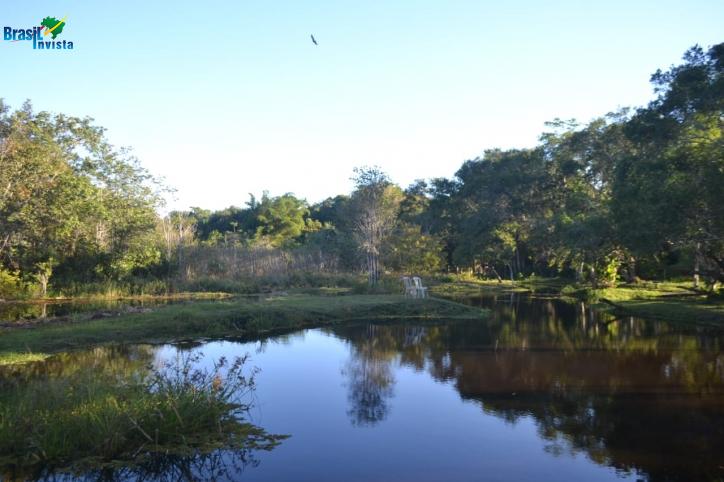 Fazenda à venda com 7 quartos, 10700m² - Foto 10