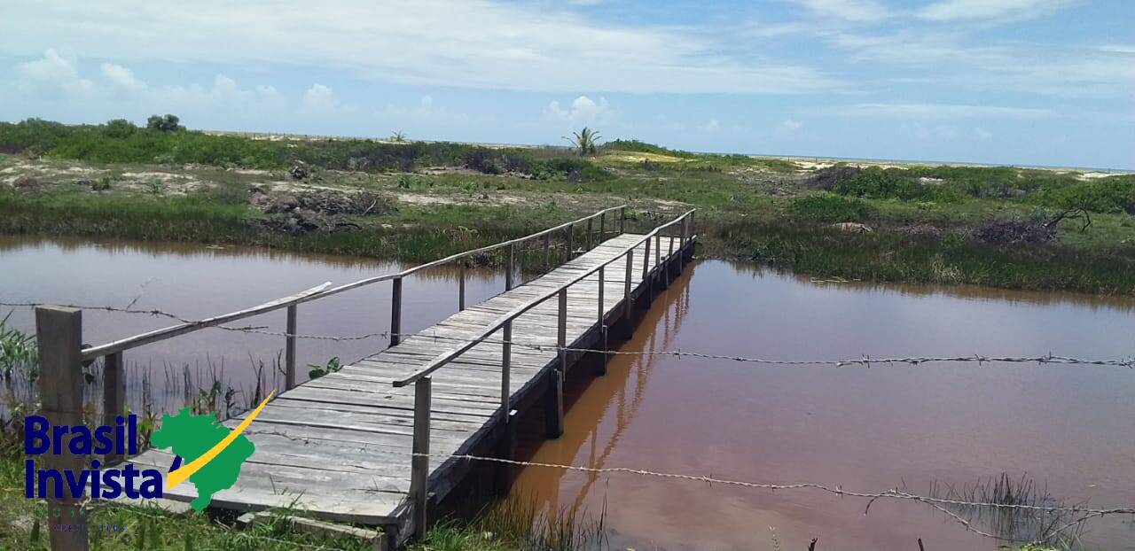 Terreno à venda - Foto 6