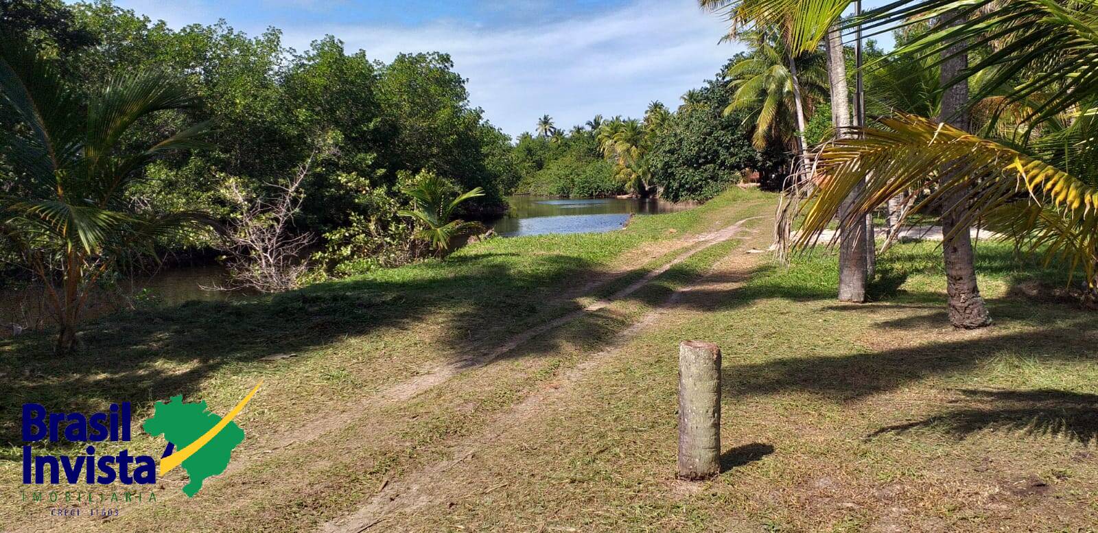 Terreno à venda - Foto 1