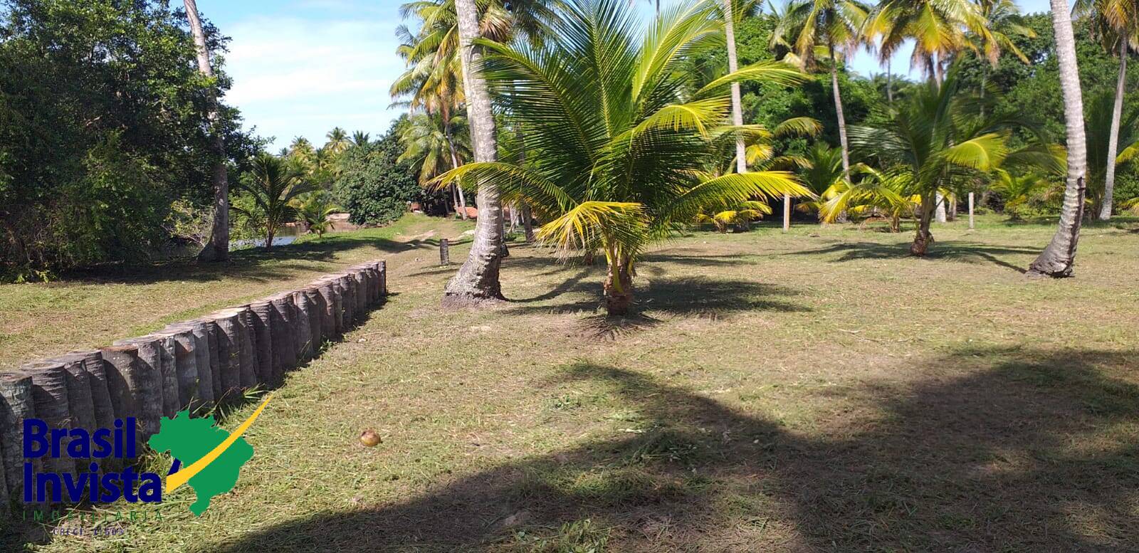 Terreno à venda - Foto 4