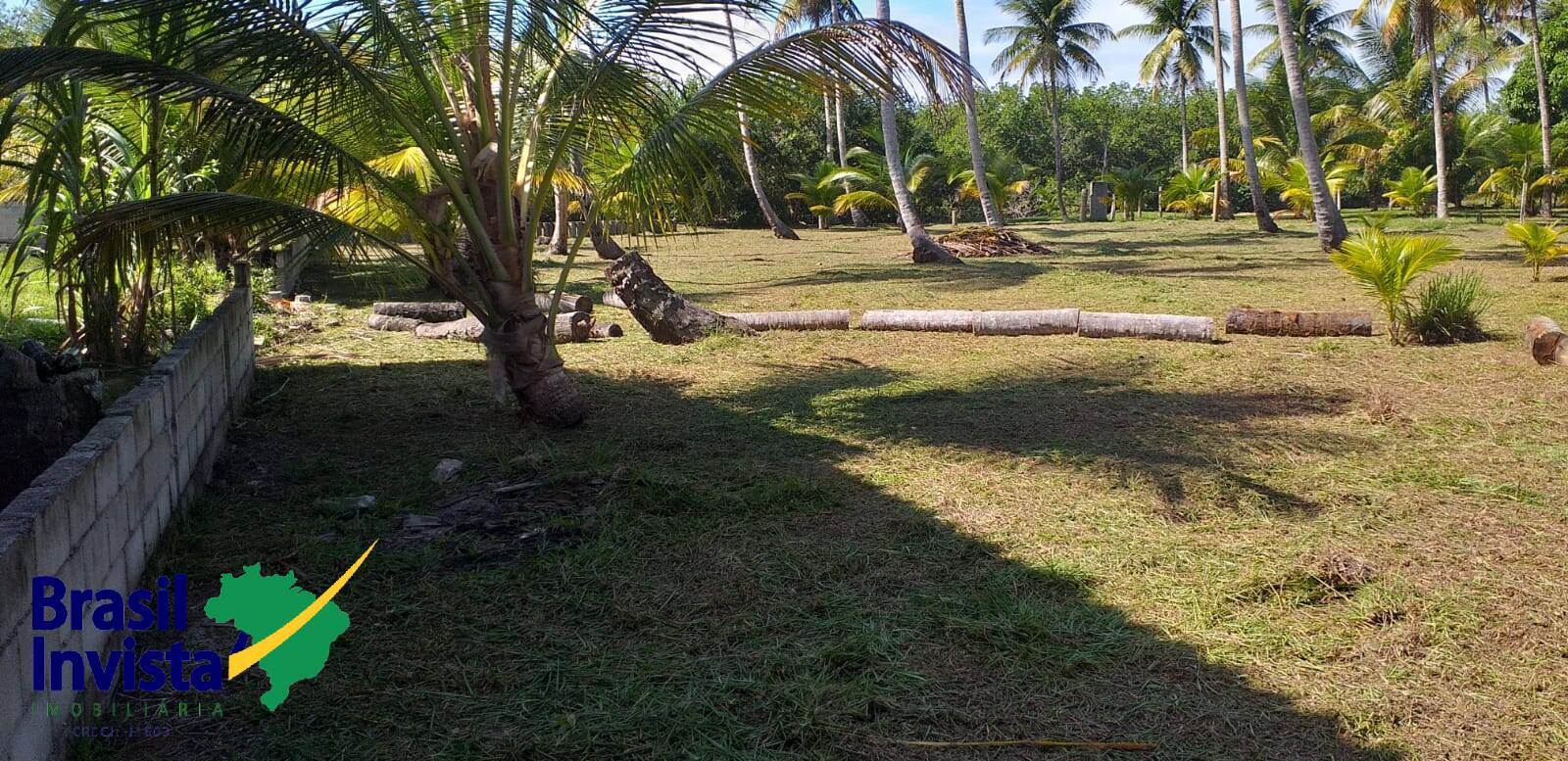 Terreno à venda - Foto 6