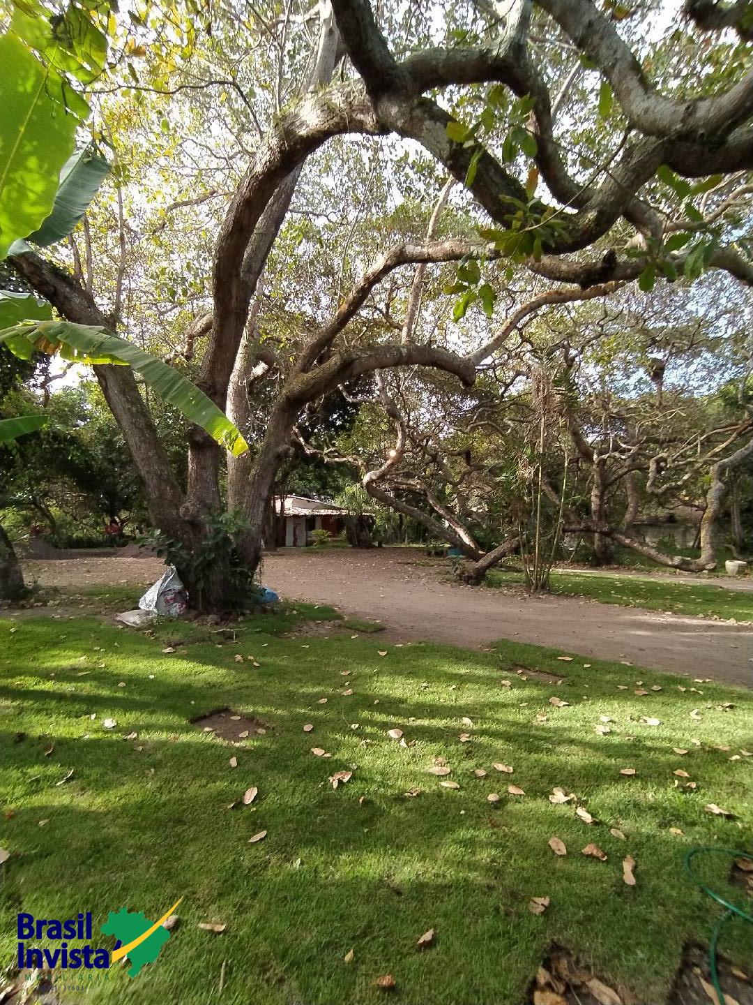 Terreno à venda, 2600m² - Foto 19