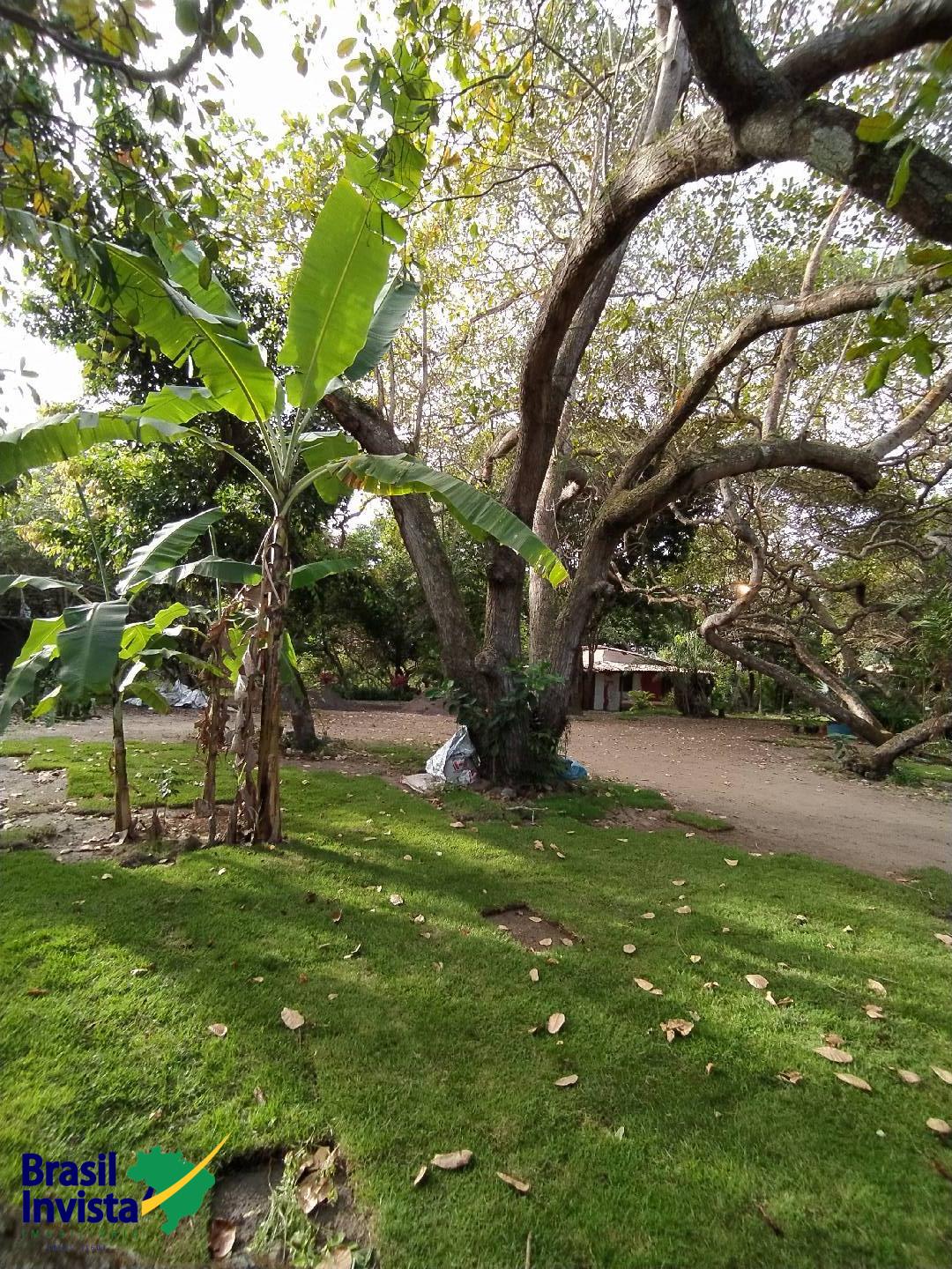 Terreno à venda, 2600m² - Foto 20