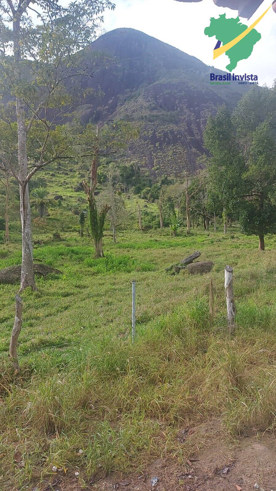 Terreno à venda, 19921m² - Foto 37