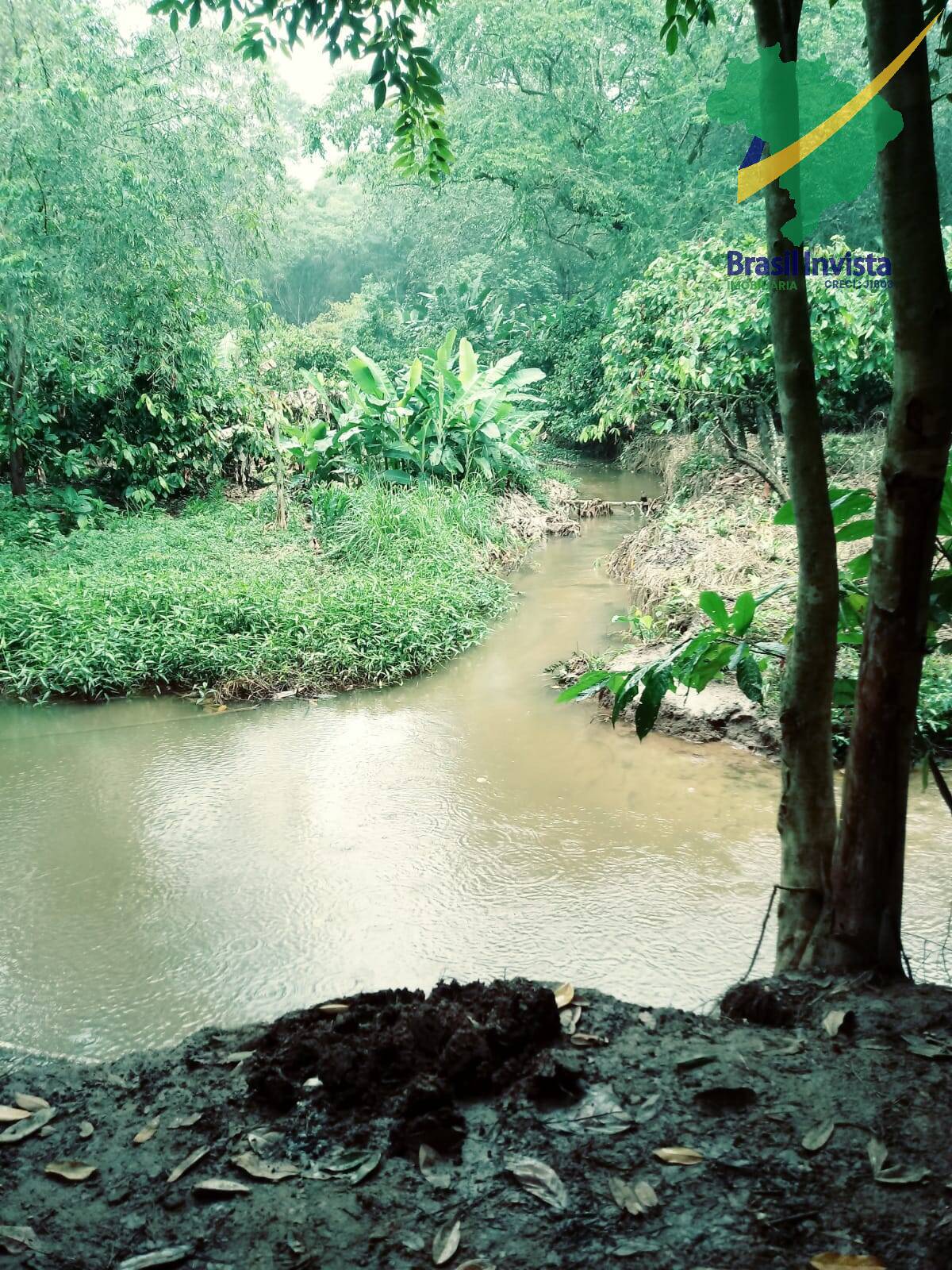 Terreno à venda, 19921m² - Foto 61