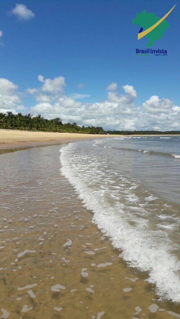 Terreno à venda - Foto 4