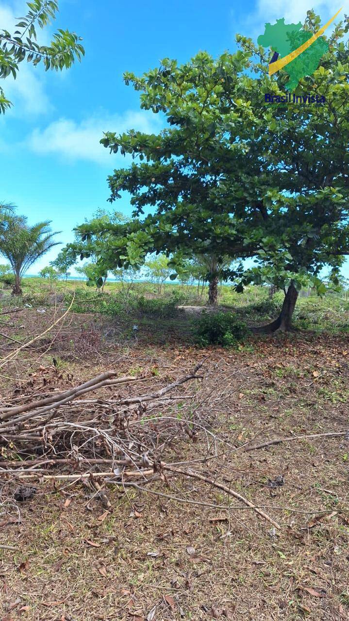 Terreno à venda, 320000m² - Foto 2