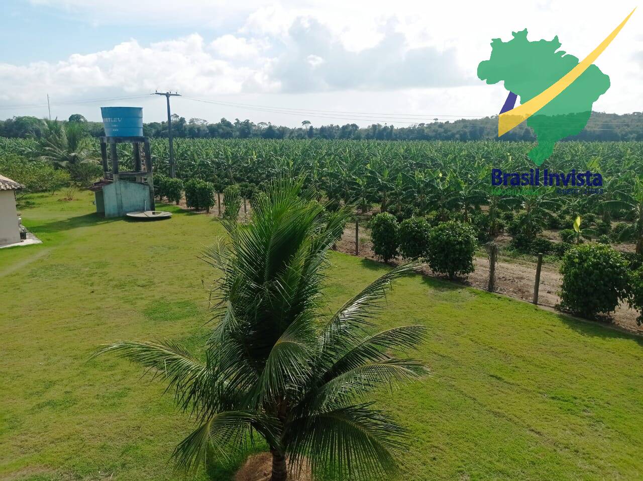 Fazenda à venda com 3 quartos - Foto 7