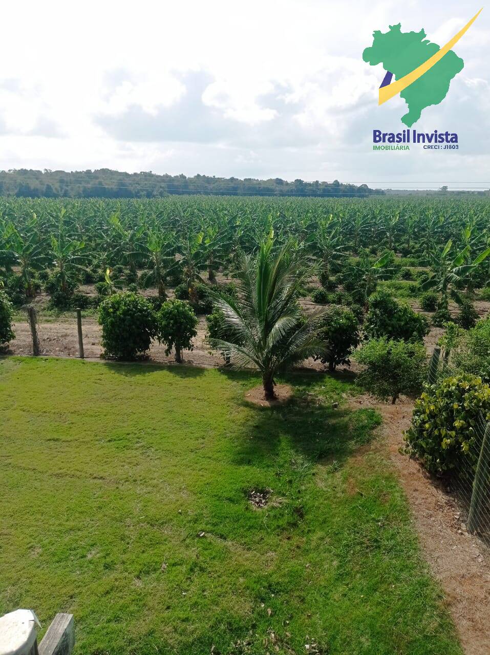 Fazenda à venda com 3 quartos - Foto 9