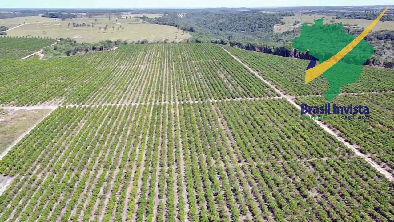 Fazenda à venda com 3 quartos - Foto 19